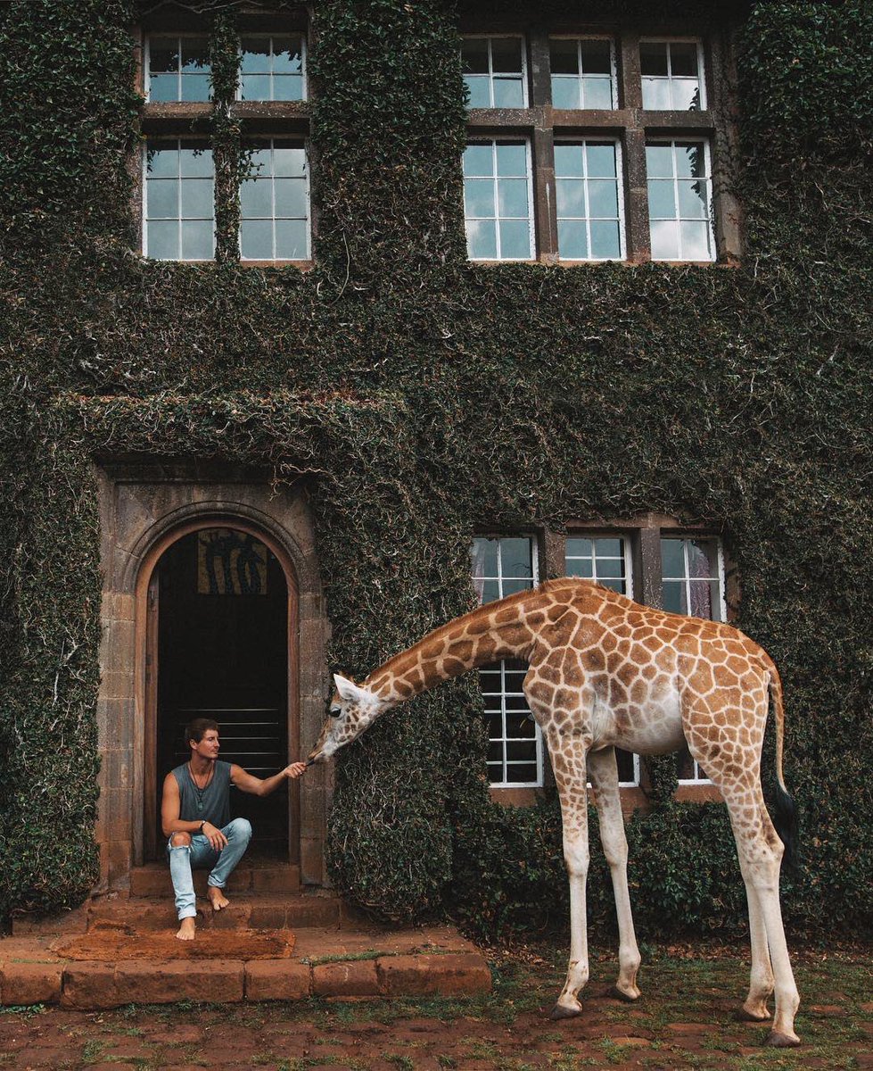 earth's tweet photo. Giraffe Manor, Kenya https://t.co/twGHAzwxcq
