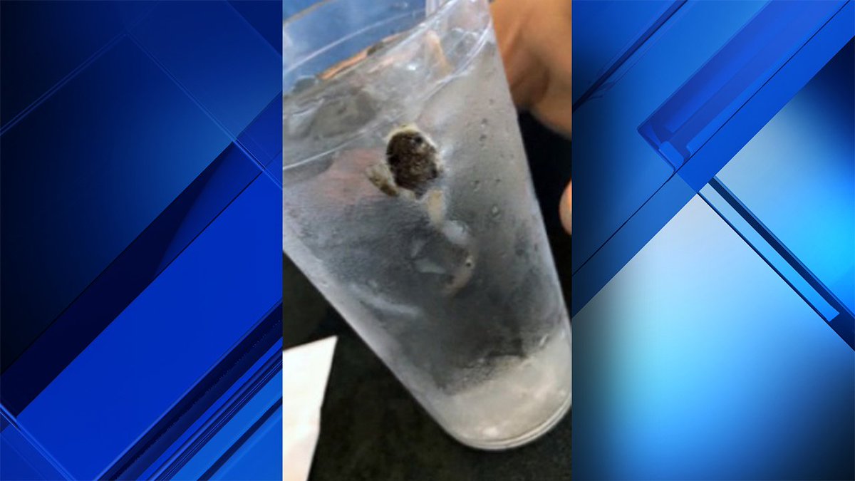Florida couple claim they found frog in ice water at Waffle House bit.ly/2hB6Z1N?utm_so… https://t.co/jMVINtwgr2