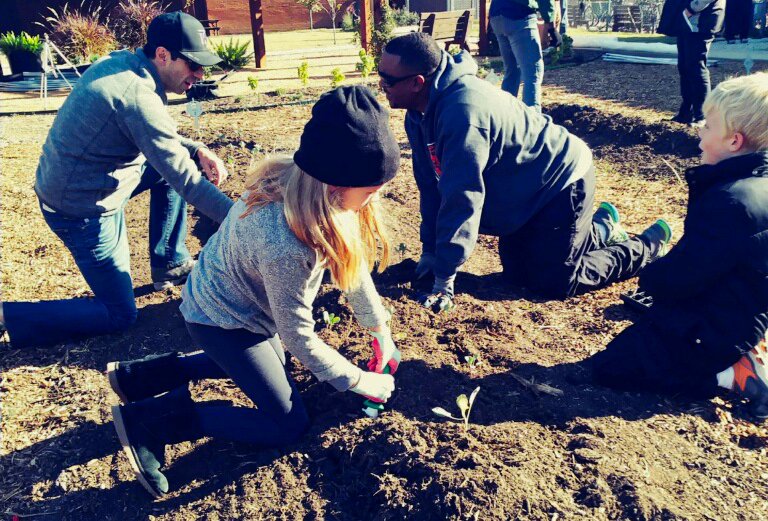 ccpa_smu's tweet photo. SMU CCPA professor Owen Lynch helps launch new Dallas seedling farm on Nov. 21 Farm is a vital resource in the South Dallas food desert  #SMUMeadows #SMU #SMU_CCPA https://t.co/HdiGdbcNwM https://t.co/06AYUKJMvA
