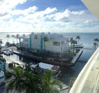 Watersports? Fishing? What island adventures are on your list? #KeyLargoMarriott 📷: nsb_fishing_charters