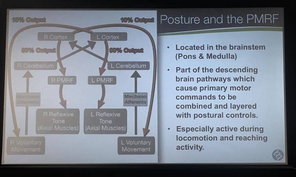 CrossFitWloo's tweet photo. Conscious movement will only result in 10% output. Learn how to access the other 90% of outputs #zhealthperformance #neuropro #teamSAL #crossfit #funcionaltraining https://t.co/AGHHzVzeHQ