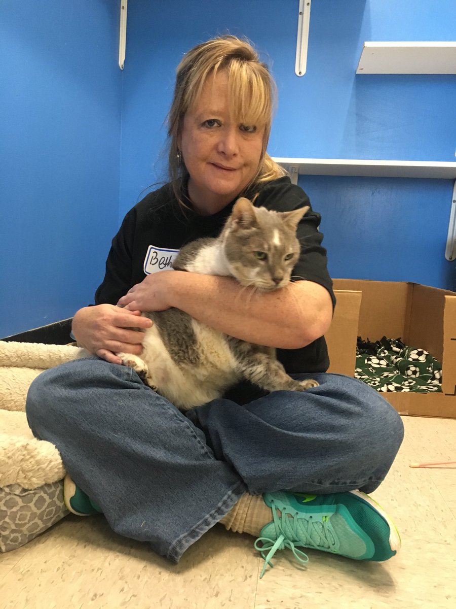 CVIOG_UGA's tweet photo. What a cuddly way to spend #UGAserves #DayOfService! Our @CVIOG_UGA team doesn’t mind changing litter boxes and cleaning cages when this is the reward at the @athenshumane Society. https://t.co/2dA33g7FfL