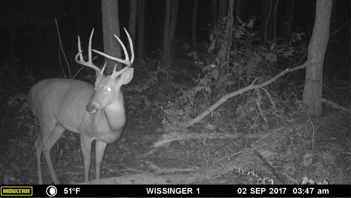Backwood_Hunter's tweet photo. https://t.co/504o4pxHag