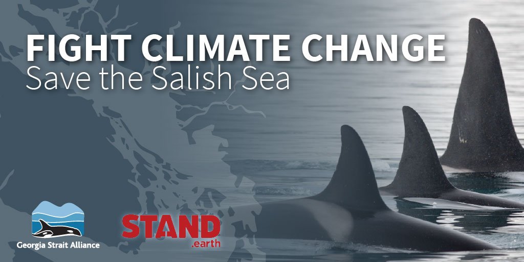 GeorgiaStraitBC's tweet photo. Join us and @standearth to talk about how to "Fight Climate Change and Save the Salish Sea https://t.co/uVMgxj3U8H #victoria #yyj #salishsea #fossilfuels #climate #beautifulbc #oceans https://t.co/kIPkyLaiSU
