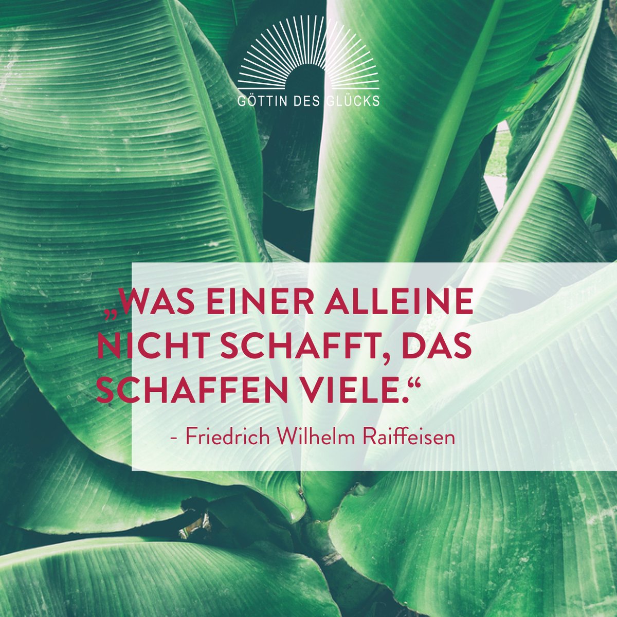 GDG_Austria's tweet photo. gründe mit der göttin des glücks gemeinsam eine genossenschaft als bürgerinitiative für eine sozial- ökologische wende in der textilbranche! ein anteil kostet €100 - zeichnen und infos auf: https://t.co/Psp9GZoB2m https://t.co/Znq8Yv41xI
