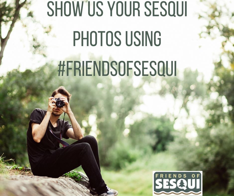 shannonleightk's tweet photo. In 2018, I'll officially join the board for #friendsofsesqui here in Columbia. Visit the park and share your pictures! https://t.co/IFFGsIcxoG
