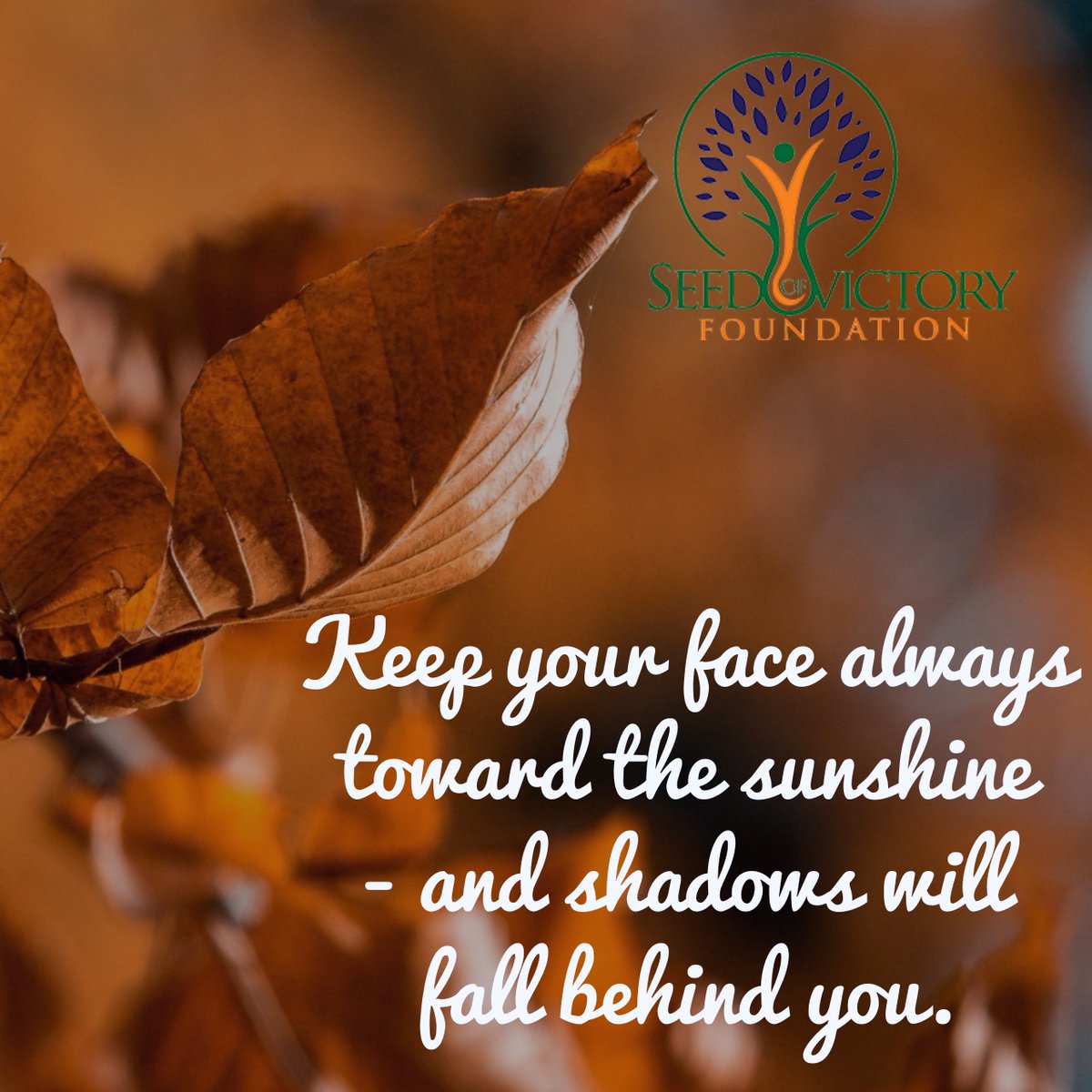 SOVFoundation's tweet photo. #seedofvictoryfoundation #keep #torwars #susnshine #shadows #behind #sessionplusinc #churchmemedia https://t.co/HvxfJCzKvl