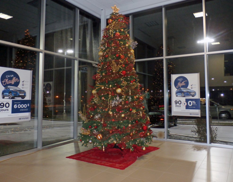 GenHyundai's tweet photo. In the Holiday Spirit #Restigouche #Hyundai #ChristmasIsComing #HolidaysAreComing https://t.co/U692SAtcKz