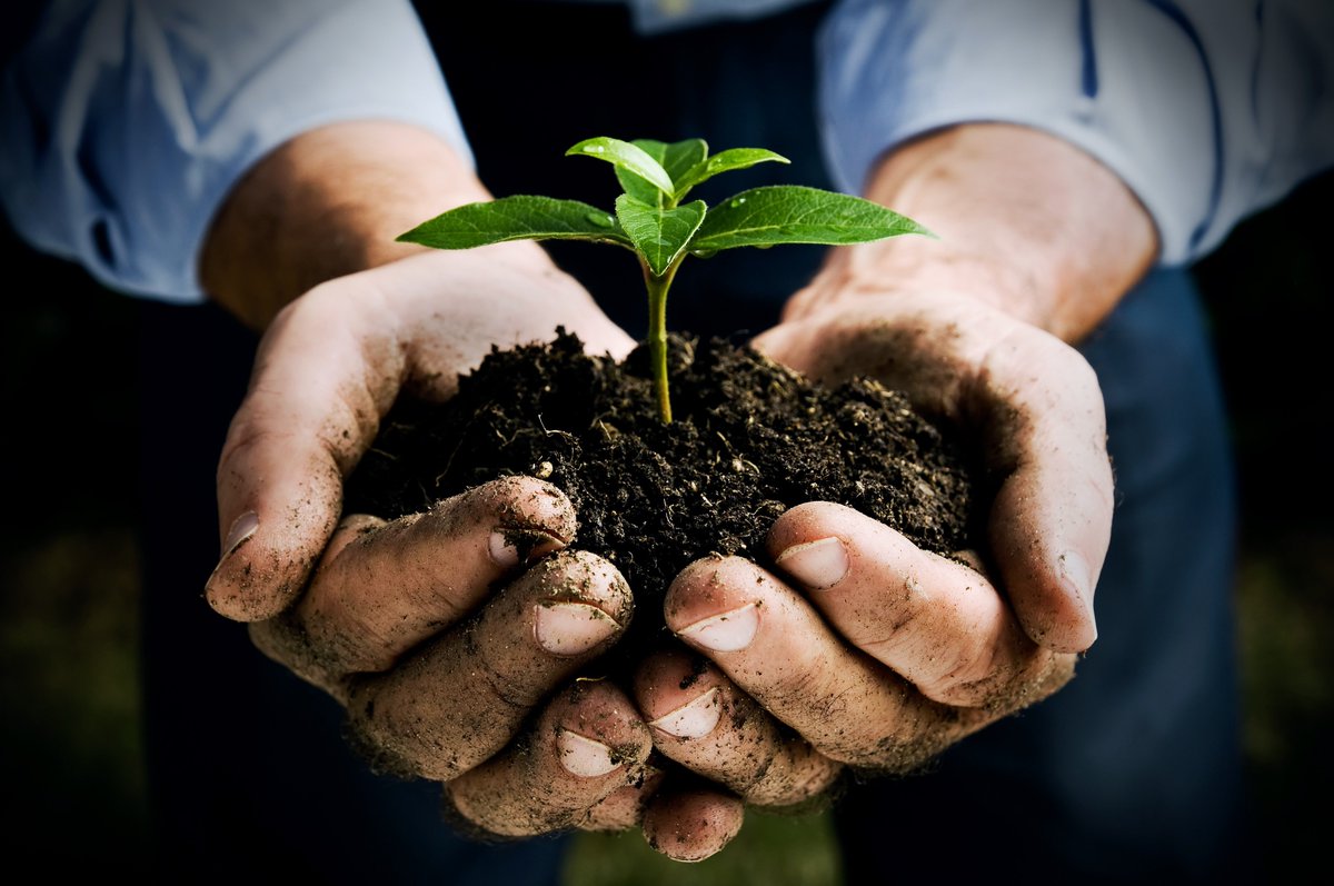 Demeter_life's tweet photo. Demeter will provide real organic food for all the people who need it.
Best quality at better price!! #demeterAg4.0 https://t.co/NDH0xaTe7F
