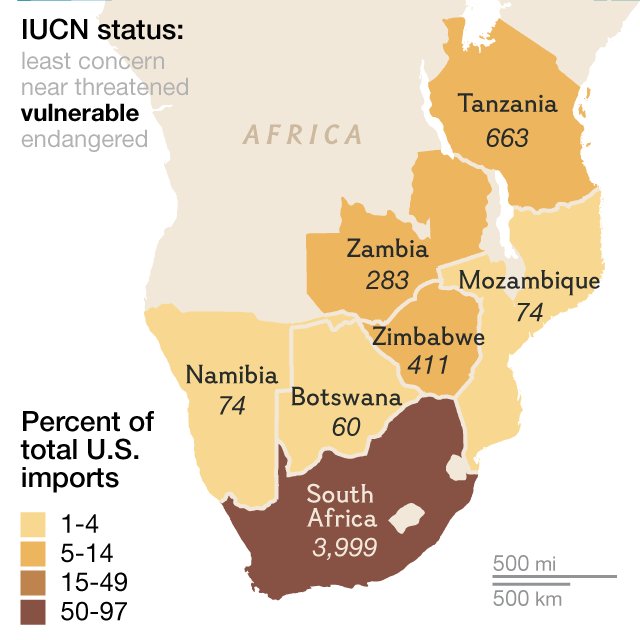 NachomanVillar's tweet photo. Controversial? Lions next in line of fire as US rolls back curbs on African hunting trophies https://t.co/6ZC48O3J1Z https://t.co/NntlYKkHlW