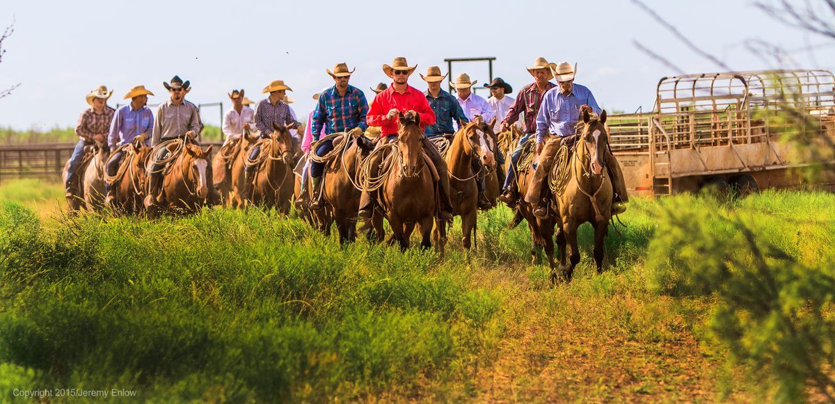 WaggonerCowboys's tweet photo. "Never let yesterday use up too much of today." -Will Rogers
#westernwisdom #cowboyquotes https://t.co/mOhyF88h01