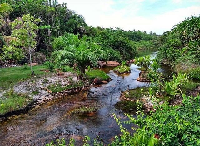neapardo's tweet photo. Reposting @thaludimbassai:
Um feliz dia a todos!

Seria esse o lugar mais especialmente lindo do mundo?!?!🤗😊😍 Surpreenda-se,
Isso é https://t.co/putkkXUTaC
