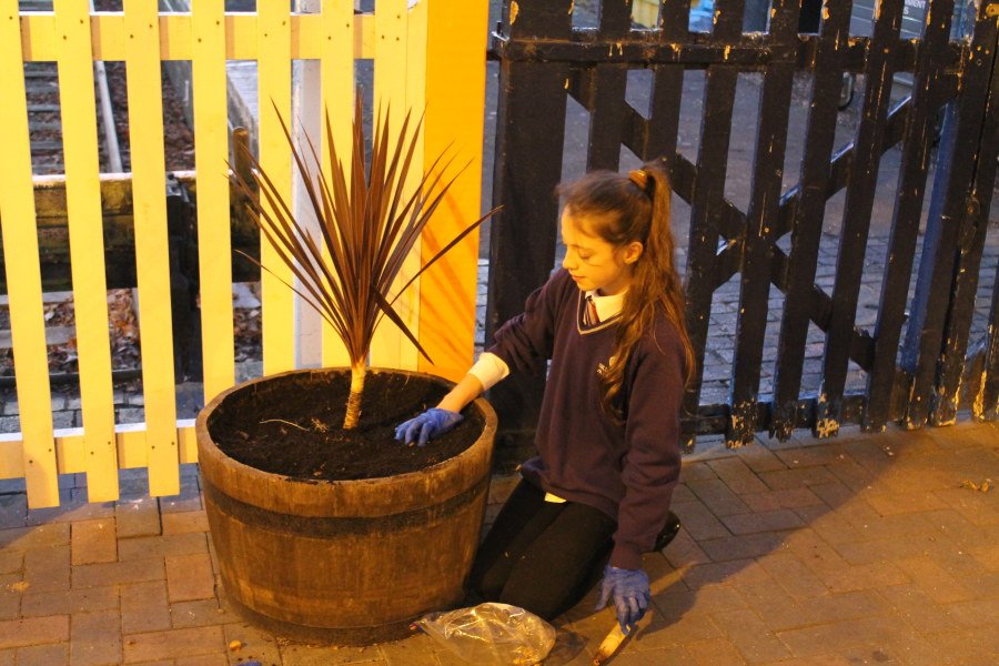 WainfleetTown's tweet photo. 2,000 crocus bulbs planted around the Skegness railway station.
https://t.co/RJBU5gQRX6 https://t.co/3ylSP5b287