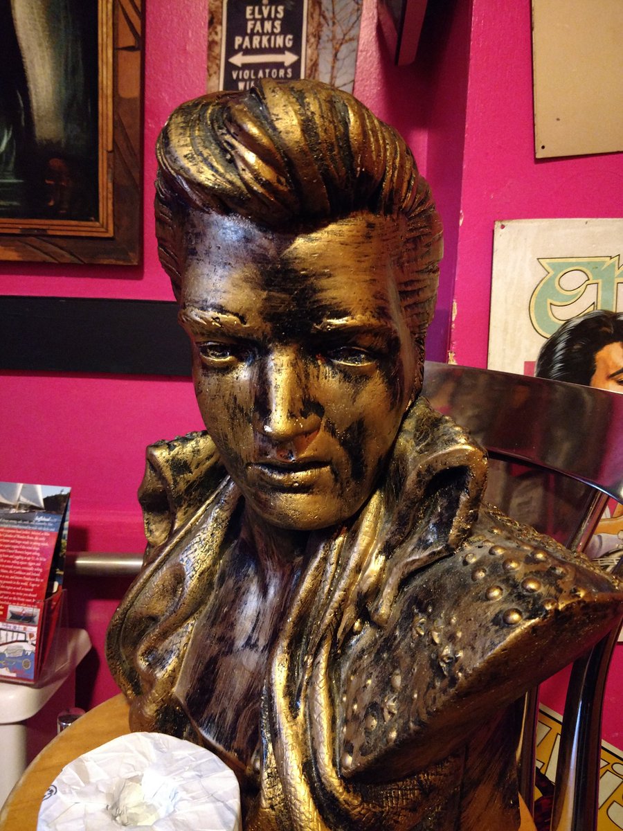 MirandaCafe's tweet photo. Oh hey. Elvis has been sighted! All day, everyday at @MirandaCafe https://t.co/lQZTniNyD8