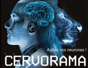 #CCSTI de Laval – Musée des sciences.
Inauguration de l’exposition Cervorama, conçue et réalisée par <a href="/capsciences/">Cap Sciences</a> . 
Mon cerveau est-il unique ? Les animaux sont-ils intelligents ? A quoi ressemble un neurone ?
Du 18 novembre 2017 au 18 mars 2018. 
ccsti-laval.org/nouvelle-expos…