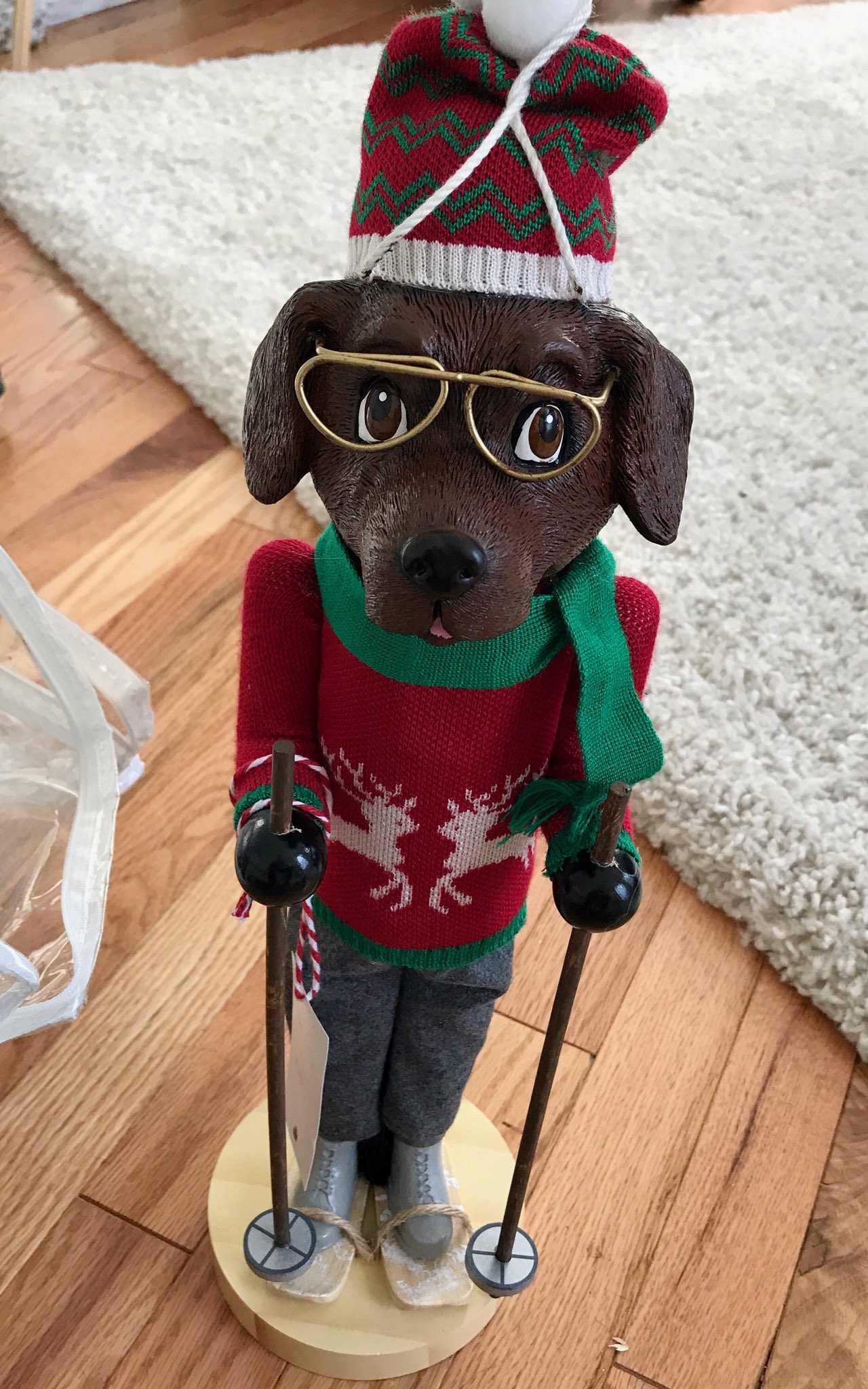 Nutcracker dog clearance costume