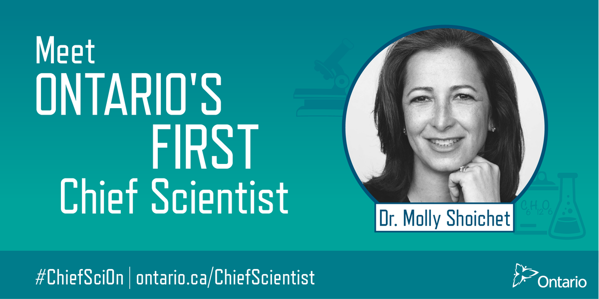 MrHazelden's tweet photo. The incredible Dr. Molly Shoichet adds another role to her sprawling list of responsibilities. Congratulations on being named Chief Science Officer by
Ontario Minister of Science @rezamoridi #CanScience https://t.co/k167y2xQoY
