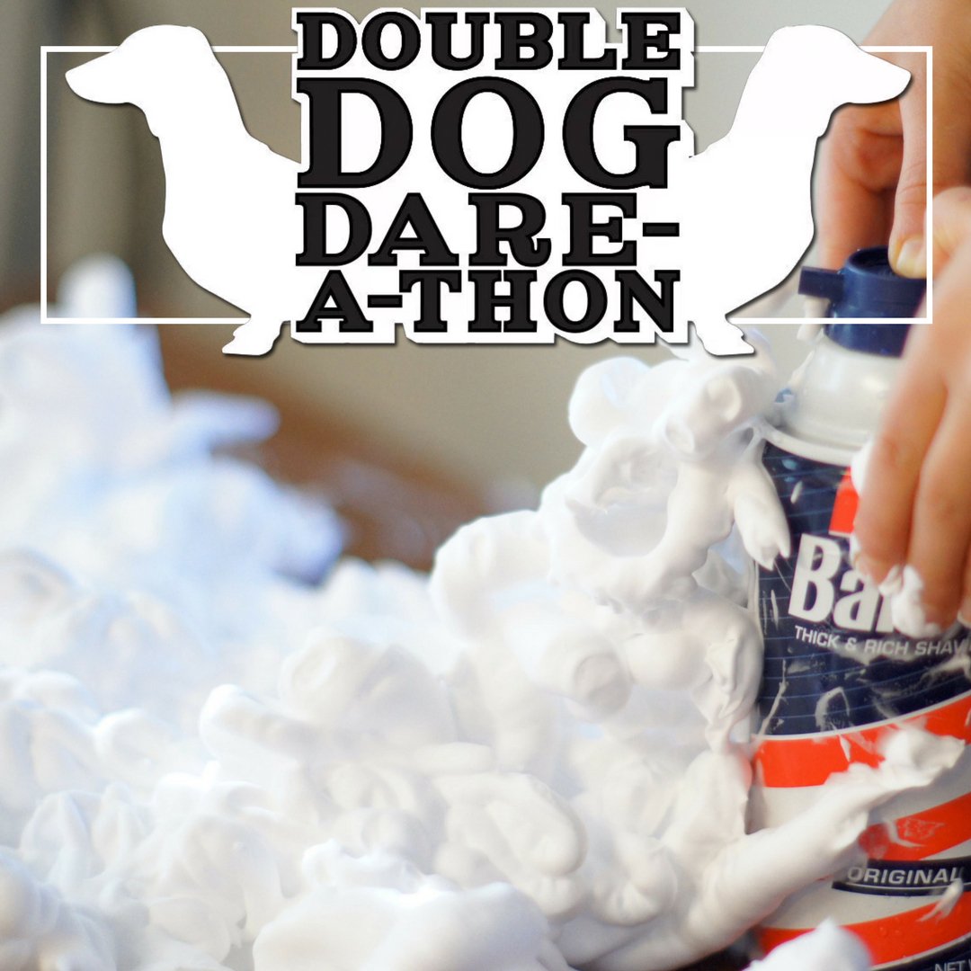 onelifeknox's tweet photo. When shaving cream is on the shopping list, you know it's gonna be a good time! That, plus sticky notes, is all you need for #OneLifeStudents Double-Dog-Dare-A-Thon TOMORROW NIGHT! Sign up here to get in on the action: https://t.co/VyOzCi8o8m https://t.co/SkaproxATm