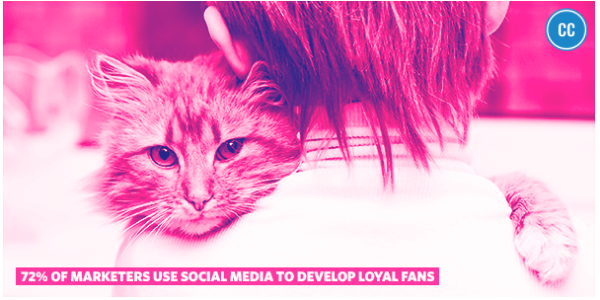 surge_realty's tweet photo. The other 28% are wondering what loyalty means. Don't wonder, #Collaborate &amp; build #loyalty. https://t.co/MxnHuFLhom https://t.co/vuRX8QfGfa