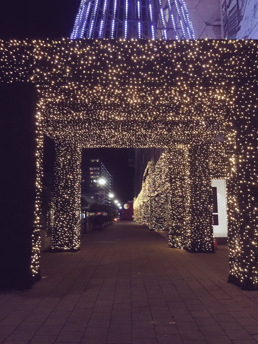 ここまで感動しないイルミネーション生まれてはじめてin ロッテルダム