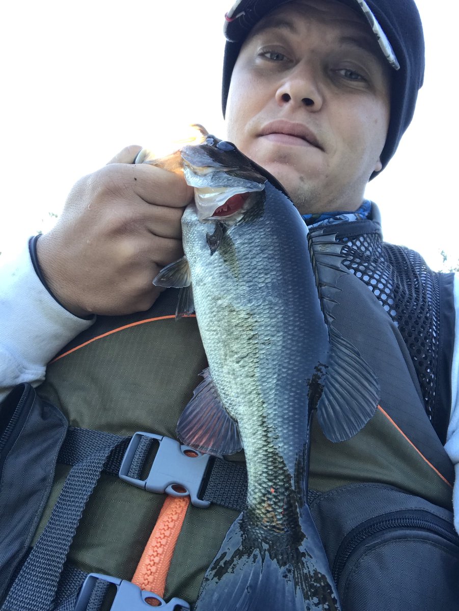 kentuckyraider1's tweet photo. #makeeverycastcount #lakeforkguy #BassFishing #kayakfishing https://t.co/tgiaBVZ3dy