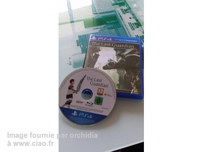 Félicitations au membre "orchidia" pour son #avis diamant 💎 sur le jeu vidéo "The Last Guardian (PS4)" bit.ly/2hXrVjZ 🎮 <a href="/PlayStationFR/">PlayStation France</a>