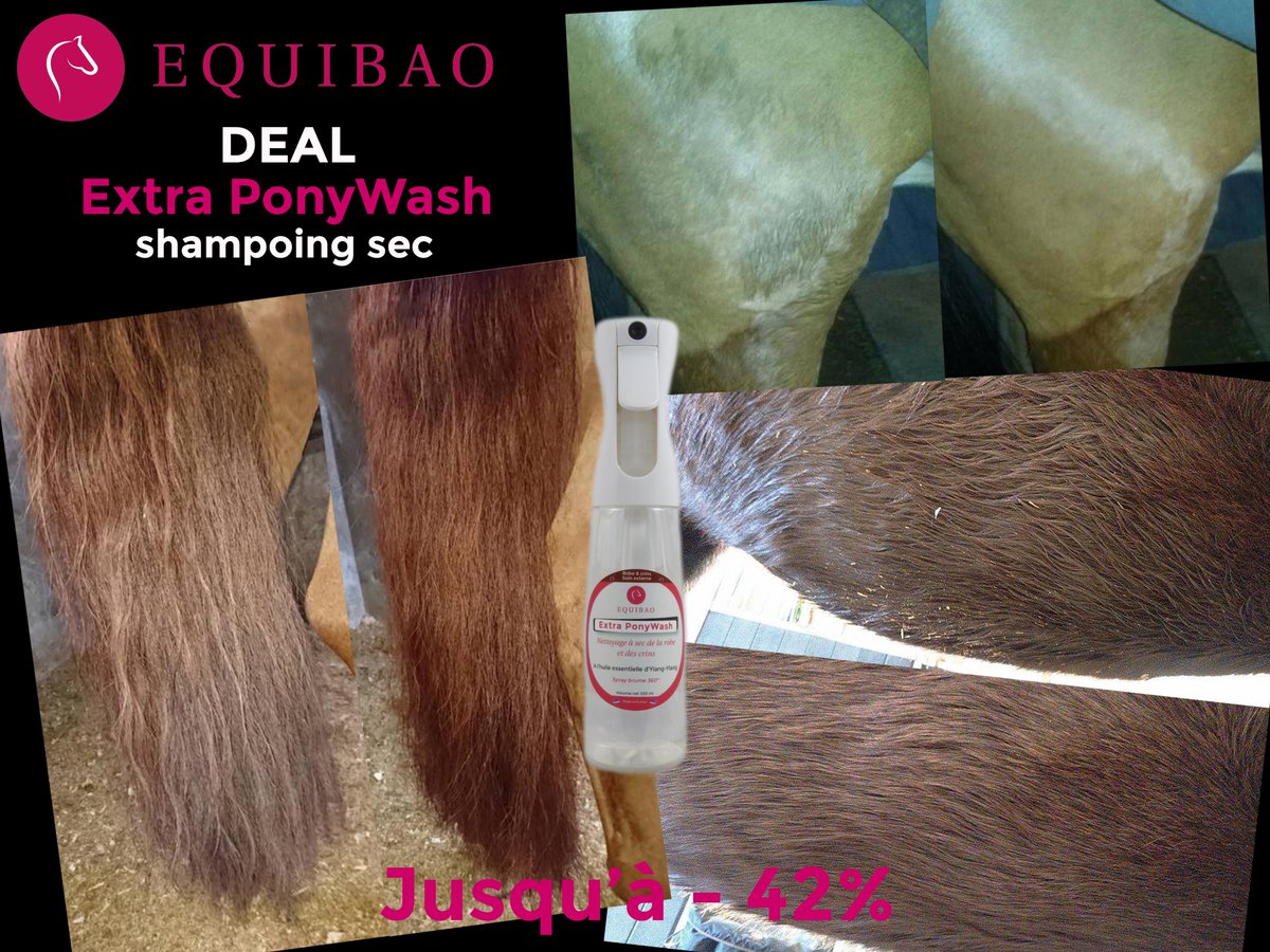 equibao's tweet photo. Nouveau deal Extra PonyWash (shampoing sec robe et crins). Plus vous êtes nombreux à commander, plus le prix baisse ! Jusqu'à 42% de remise... Motivez vos amis https://t.co/ukiFkgFWPR https://t.co/bJ7uv0FCYy