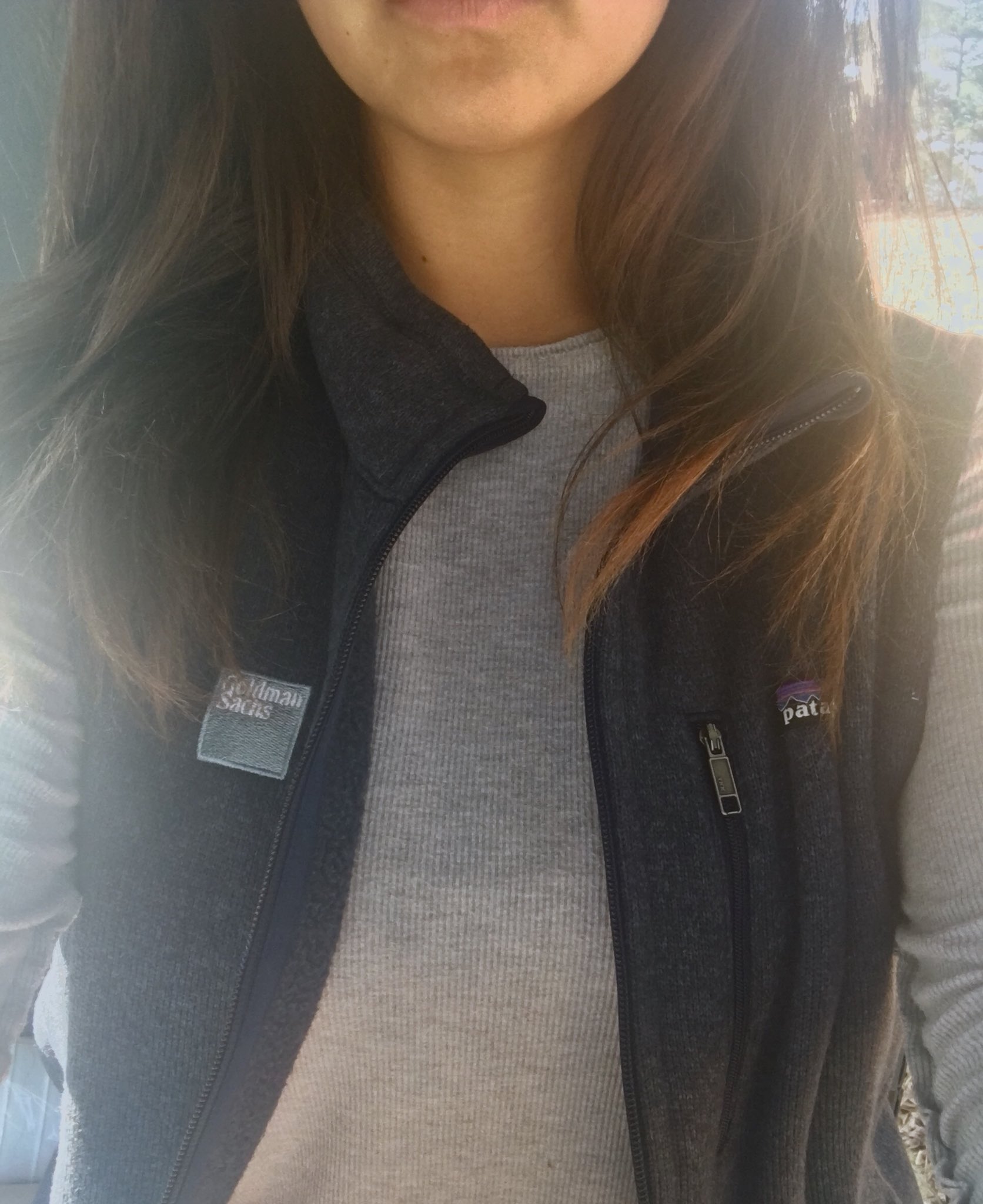 Goldman patagonia vest sale