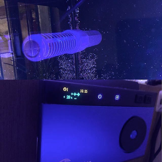 MaxspectLED's tweet image. New purchase 🎉🎉#gyre #maxspect #gear #icecapaquariumproducts #icecap3kgyre #coralvue #equipment 📷: @ridaniell