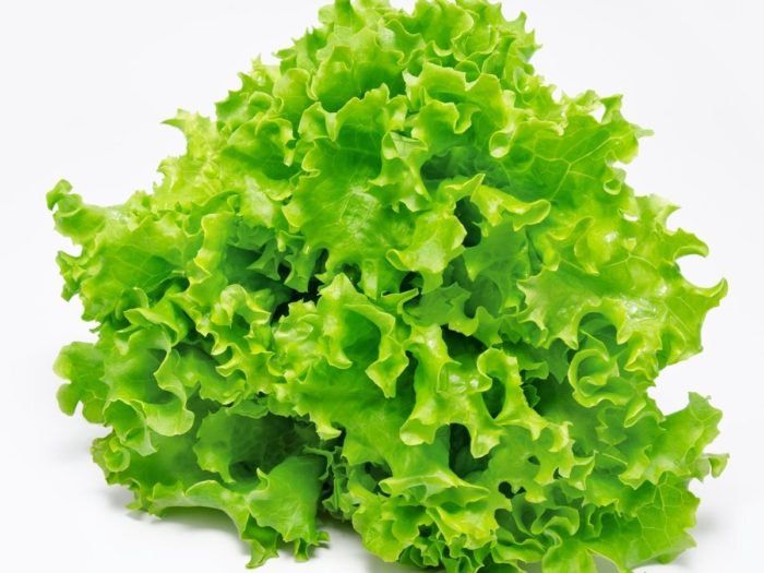 EcoBit_io's tweet photo. 8 Impressive Benefits Of Lettuce

https://t.co/BRa67JKxa2

Source : Organic Facts

#ecobit #lettuces https://t.co/su4GyjmW3c