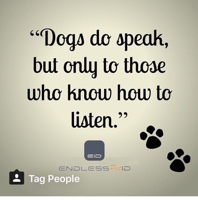 EndlessPetID's tweet photo. I remind myself every morning:Nothing I say this day will teach me anything.So if I'm going to learn,I must do it by listening. #EndlessPetID #StopAndListen #LessTalking #LoveYourPetEnough #TGIF #HighTechDogTag 🐾    #HighTechPetTag  🐾 
#HighTechTag        🐾 #HighTechCatTag. 🐾 https://t.co/ypsf4sxmS4