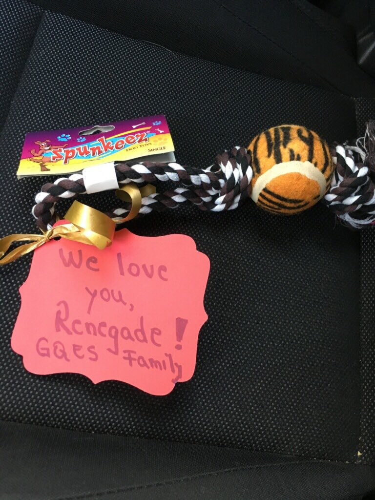 Even our service dogs get treats for Educators Week at GQES! #weareonebigfamily @gqeswps <a href="/write2bliterate/">Joanie Hovatter</a>