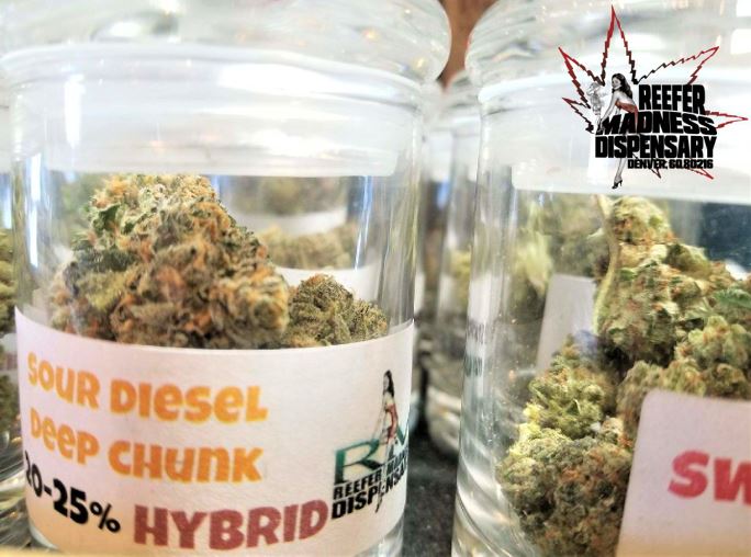 ReeferMadnessCo's tweet photo. Sour Diesel X Deep Chunk is a strain that you will not want to miss!! Stop by and stock up before its gone! #colorado #denver #marijuana #cannabis #weed #kush #deals #fire #sourdiesel #deepchunk #dank #nugs #whatsonshelf #terps #herb #kush #reefermadness https://t.co/E1zCSBg8I7