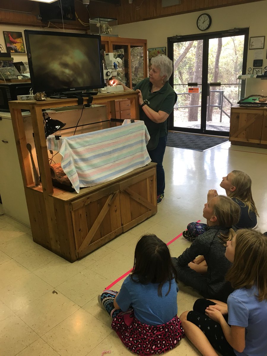 MsGunnPCE's tweet photo. A fun filled day of science! #RiSDgreatness #FieldTripDay #madscience #science https://t.co/bFvoSzCs9N