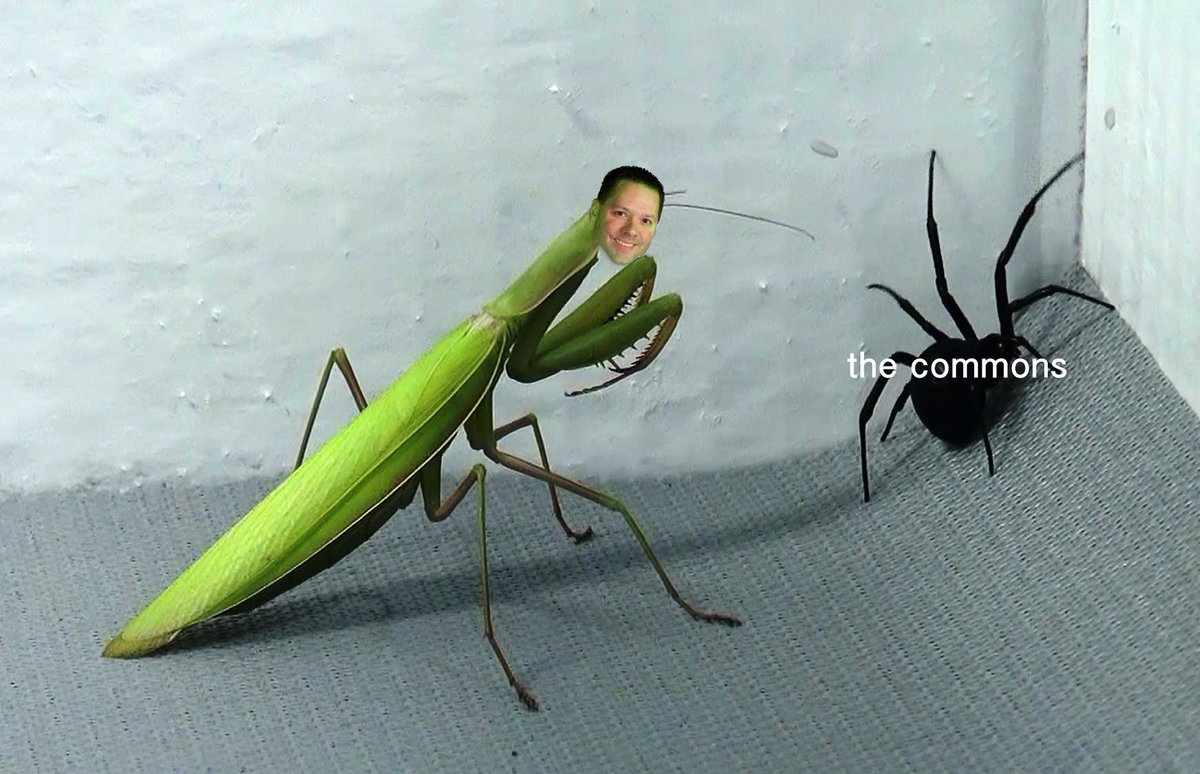 NobFightClub's tweet image. #McCaffreyFightsThings #CraigMantis