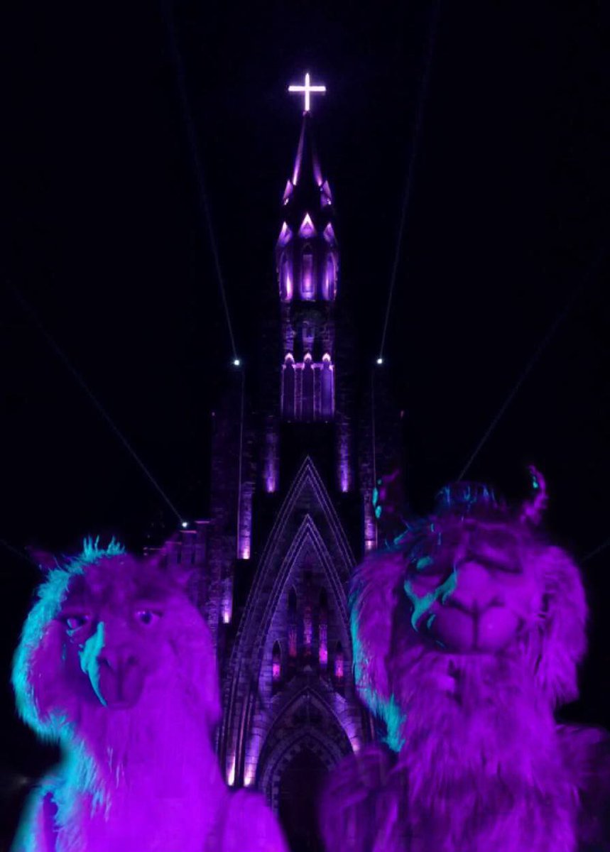 ericacristinamh's tweet photo. @falloutboy Bring MANIA tour to Brazil! The llamas are waiting for you here! ๐ฎ๐๐
#FOBsquad
#FallOutBoy
#HoldMeTightOrDont
#FOBbr
@petewentz @trohman @hurleyxvx @falloutboy https://t.co/UlDnECaeIQ