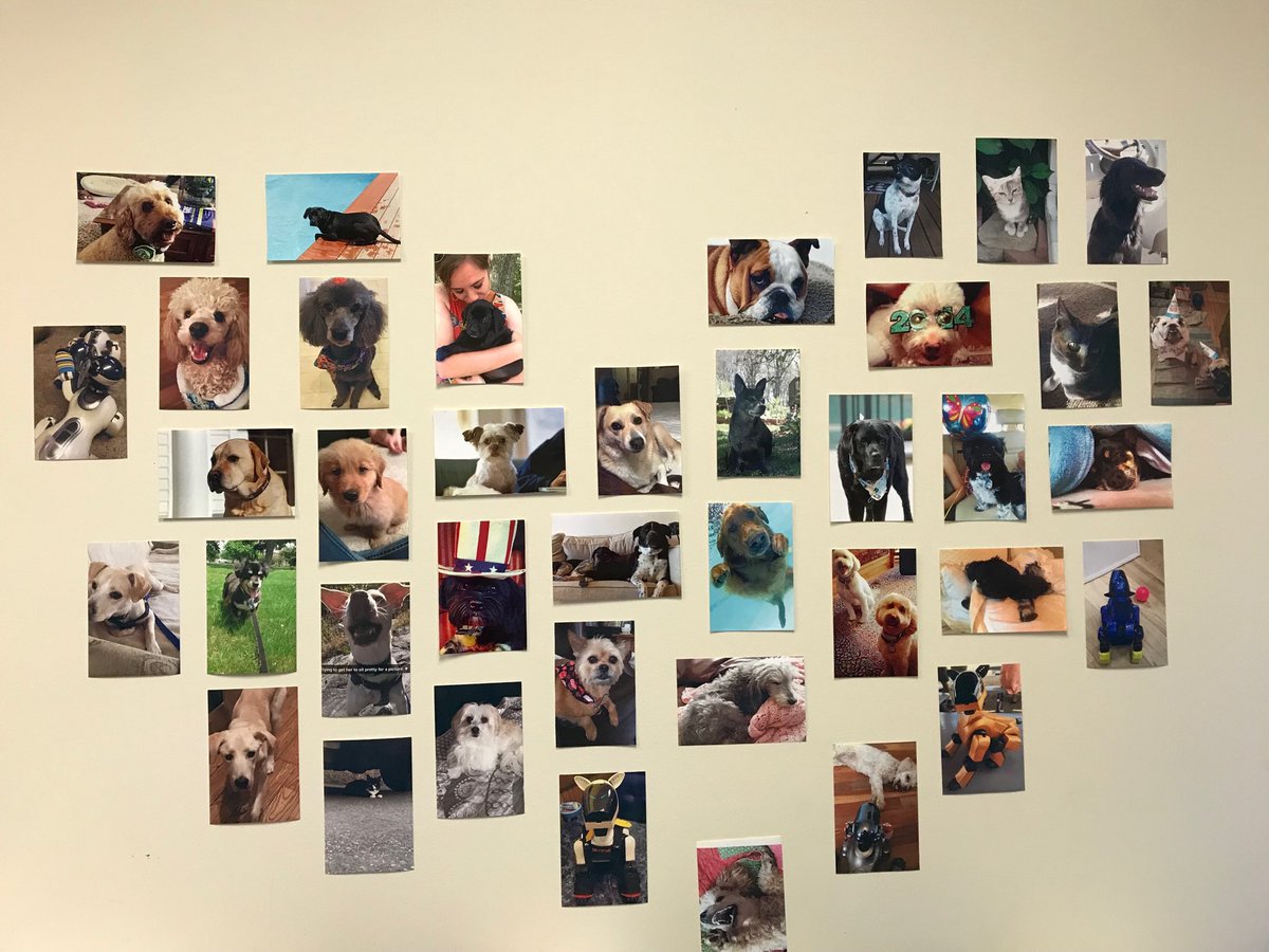 The <a href="/yaleiilab/">yaleiilab</a> pet (&amp; robot) wall is growing!