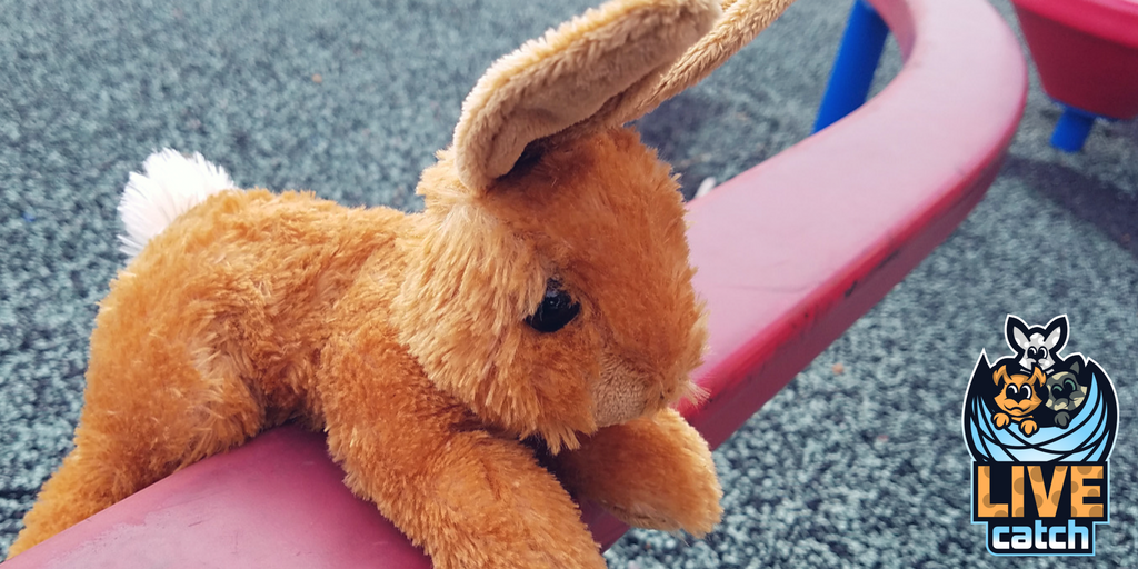 LIVEcatchGAME's tweet photo. "I thought I could hop higher."  

#LIVEcatch #AugmentedReality #Pets #Game for #Kids coming SPRING 2018. #Puppies #Kittens #Bunnies #Parenting https://t.co/uYhvkymi3Z https://t.co/F91UnDVIFb