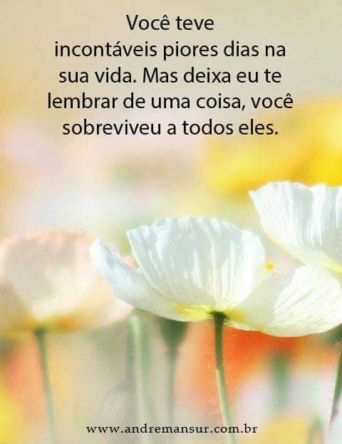 Maria Aparecida#Beta (@mkessy45) on Twitter photo 