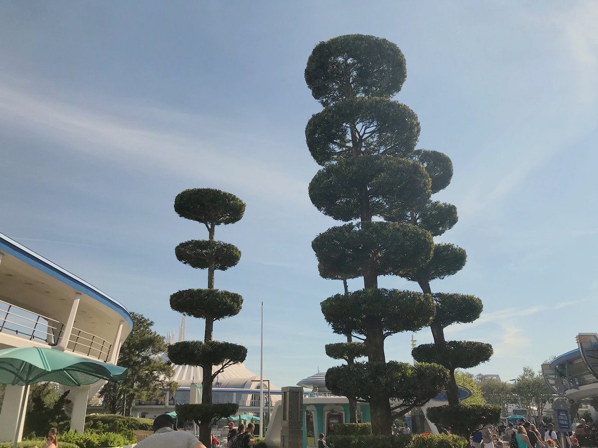 SchneiderTree's tweet image. You never know what kind of interesting tree structuring designs you’ll come across! #futuristic #treestructure #design