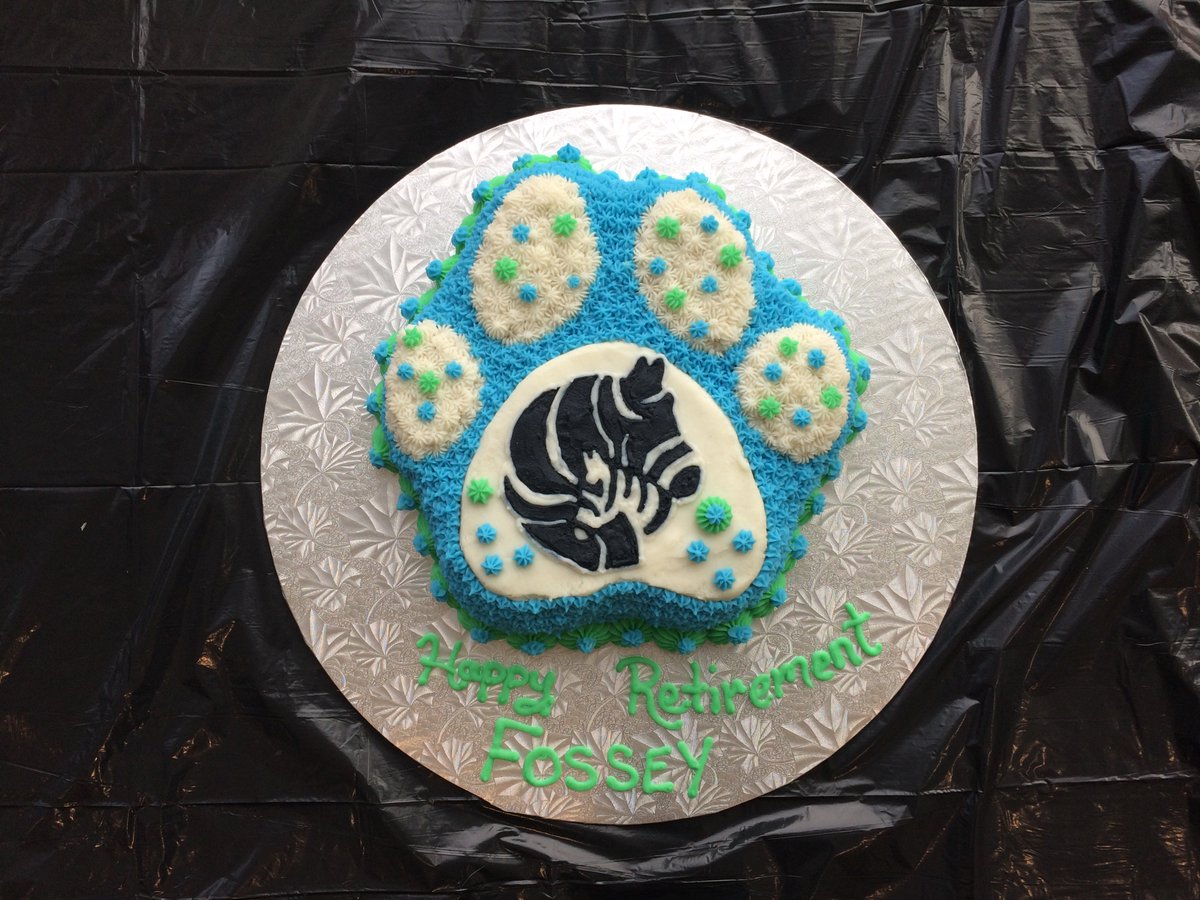 ZebraCentre's tweet photo. After just over 30 (dog) years supporting children at the Zebra Centre, Fossey is retiring! We threw her a party to say goodbye #KidsCanTell https://t.co/D0adru4FU8
