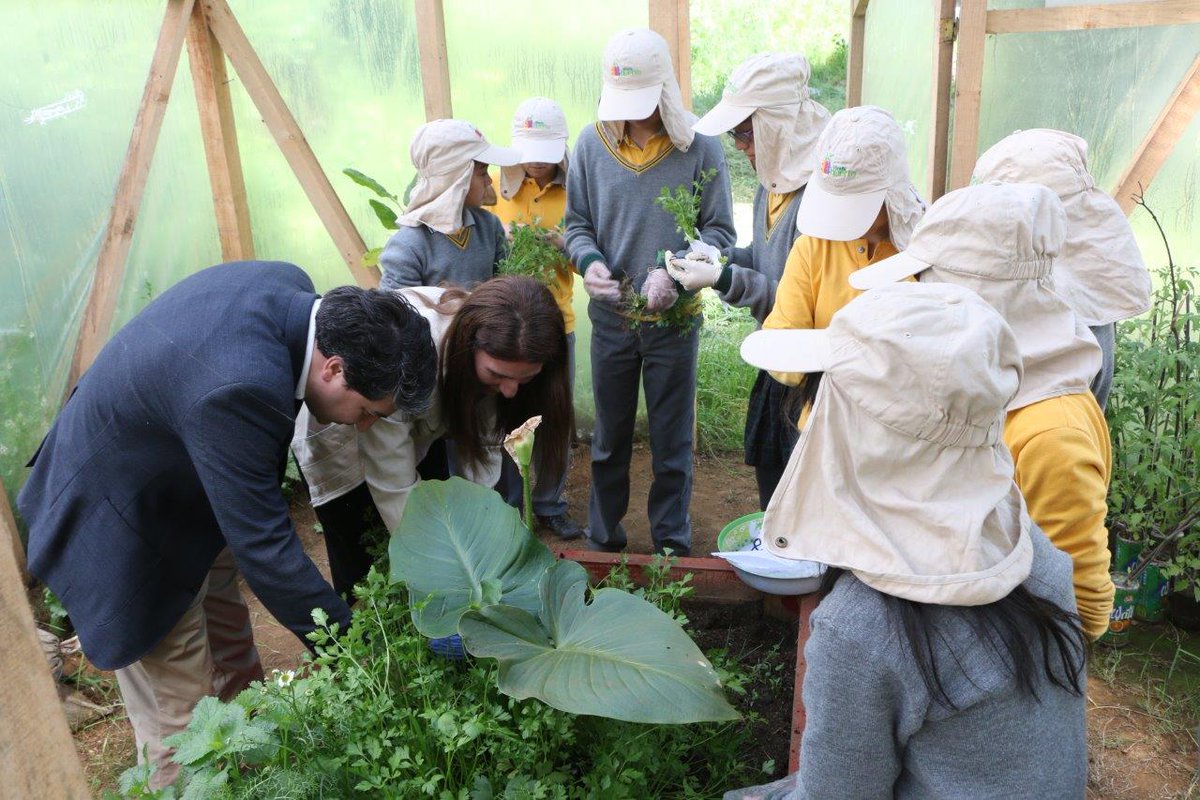 #Valdivia <a href="/munivaldivia/">MuniValdivia</a> te invita a participar en el taller de Huerto y Reciclaje ➜ goo.gl/nkNE1q