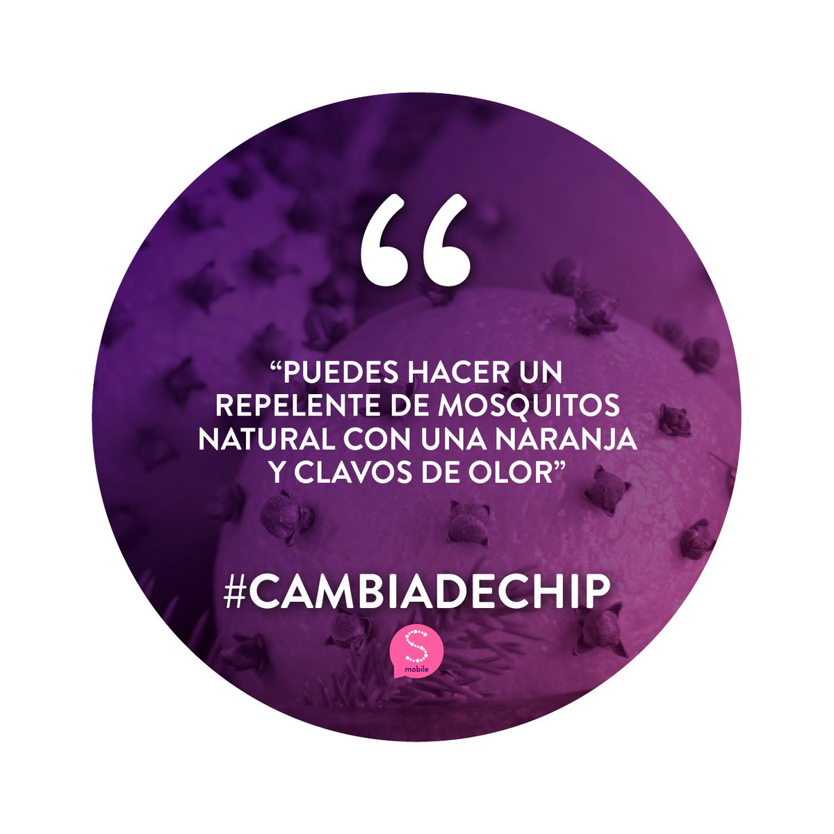 simpati_mobile's tweet photo. #Simpatips: "Puedes hacer un repelente de mosquitos natural con una naranja y clavos de olor, además, aromatizarás tu casa."#CambiaDeChip #SimpatiMobile
https://t.co/hfZjZ1ALbz https://t.co/cFNQIT7UR8
