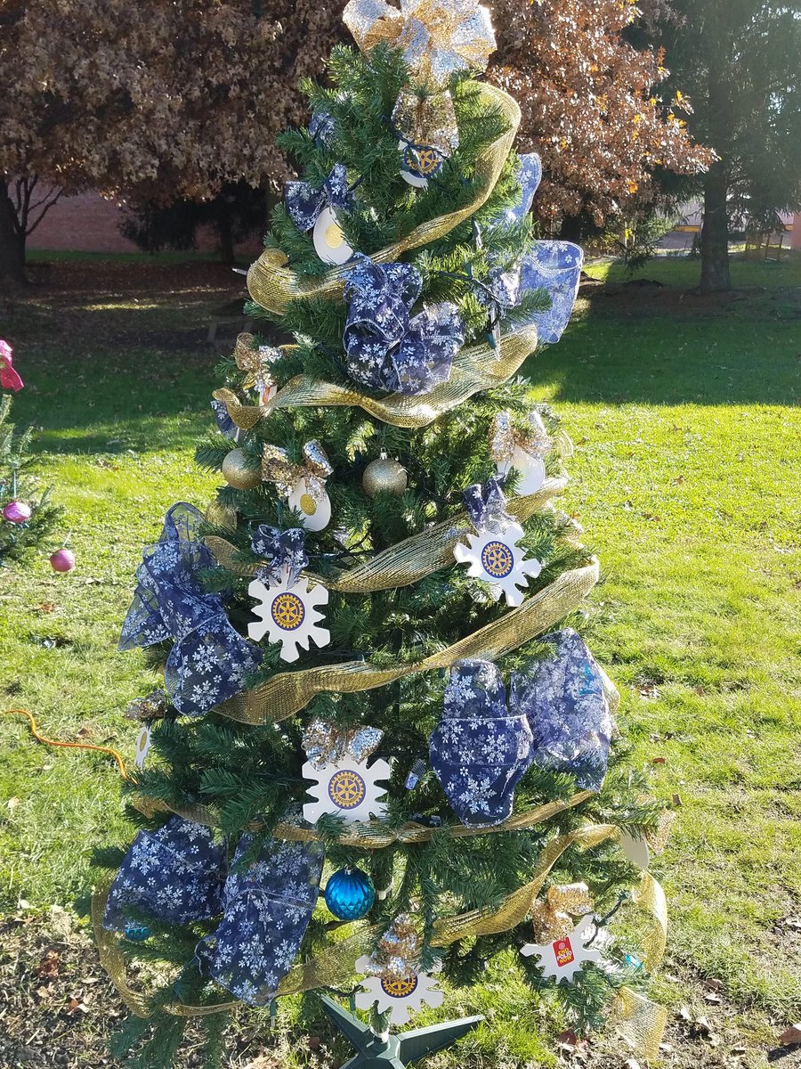 Byesvile_Club's tweet photo. Byesville Rotary decorated an Xmas tree for Village of Byesville's Xmas Square. #ByesvilleRotary #6690 https://t.co/E71EfTI0jk