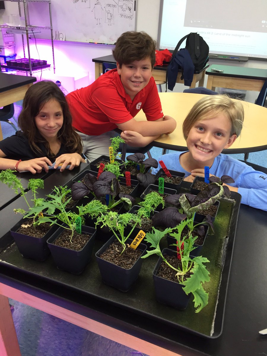 It's space harvest day here on earth #gslearning <a href="/GrowBeyondEarth/">Growing Beyond EarthⓇ</a> observations, questions and eventually answers...