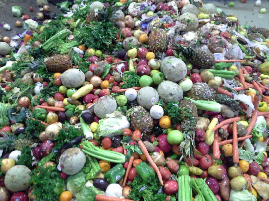 GrupoTelnet's tweet photo. En 2014 la Asociación Mexicana de Bancos de Alimentos (AMBA) alertó que todos los días se desperdician en el país más de 30,000 toneladas de alimentos en buen estado #ComidaPorMontones https://t.co/82E2SI7fNL