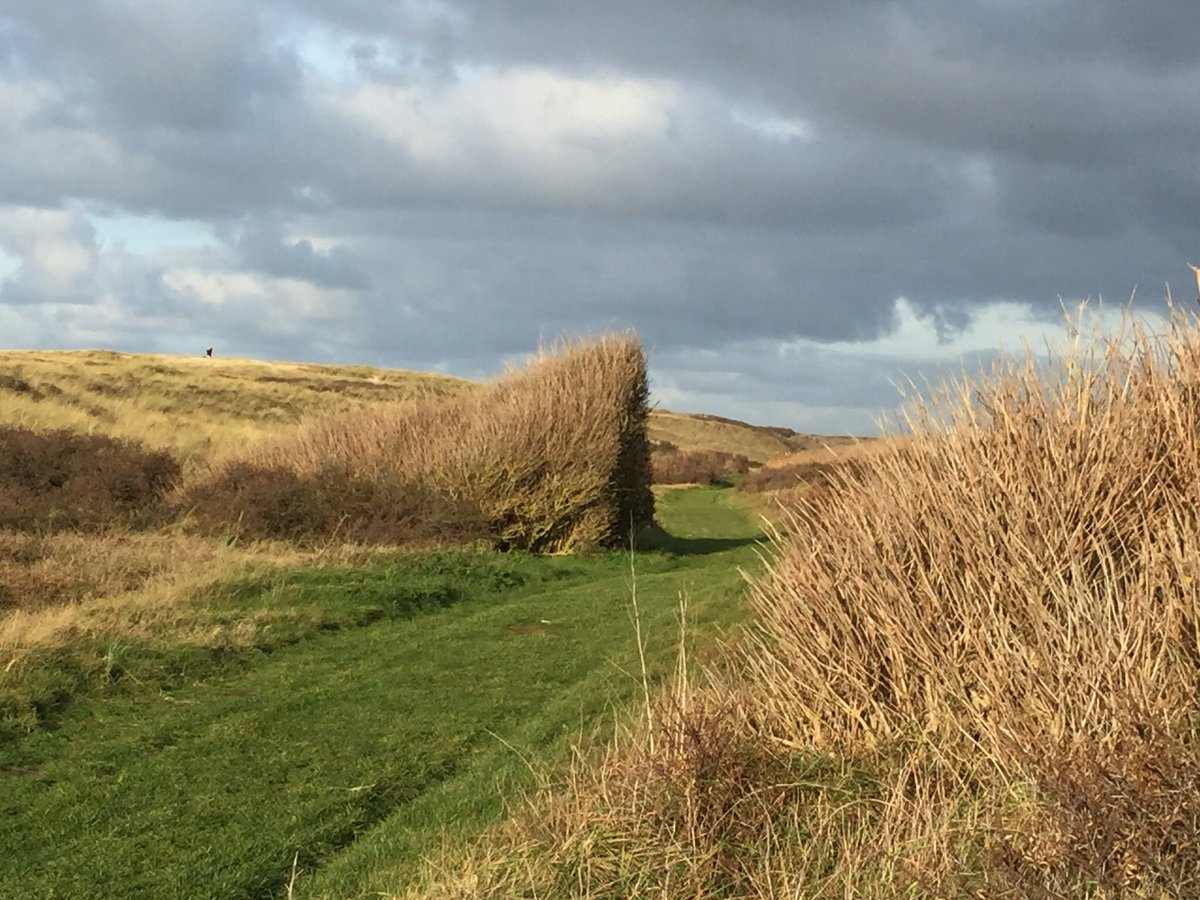 StTexelcampings's tweet photo. #Heerlijk, even niks en toch zo veel #genietenopsienTexels https://t.co/4MbQ59BY2e