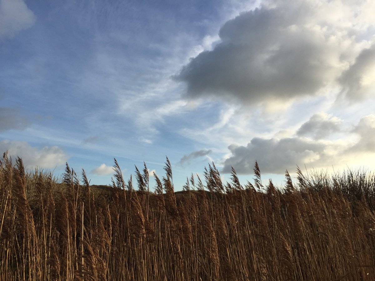 StTexelcampings's tweet photo. #Heerlijk, even niks en toch zo veel #genietenopsienTexels https://t.co/4MbQ59BY2e
