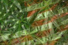 digitaltrapping's tweet photo. https://t.co/2ZtGsJaYND: The truth behind the ‘first marijuana overdose death https://t.co/UobEH0Cfc5 #News #OTGNEWS https://t.co/DadVwyM0dP
