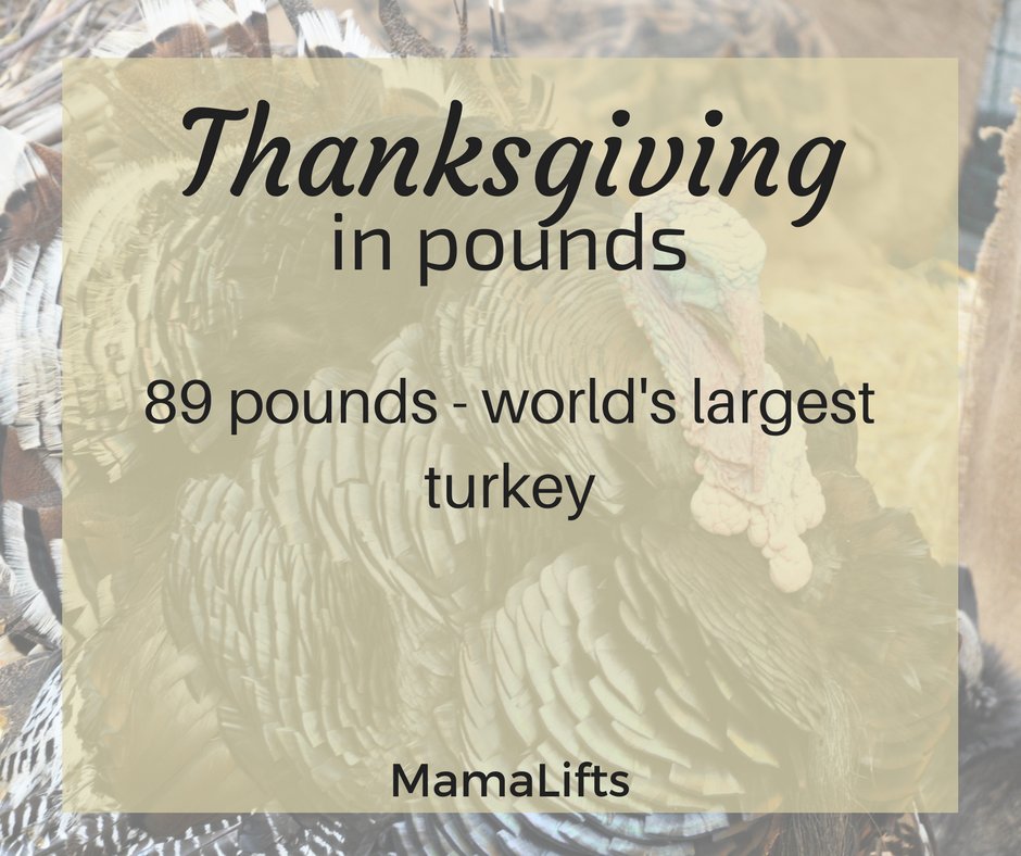 mama_lifts's tweet photo. Fun fact Friday (Thanksgiving edition). https://t.co/IEetdT9333 #thanksgiving #funfacts #forlifters #weightlifting #gobblegobble #gobbletilyouwobble #droppingknowledge #blogger #fitness #holiday #thatsabigturkey #turkey #sweetpotatoes #cranberries #pumpkinpie #family https://t.co/PEeGAIIvj2